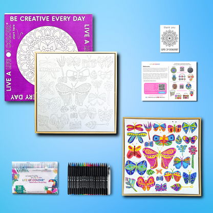 Canvas and Frame Painting Kit - Butterflies