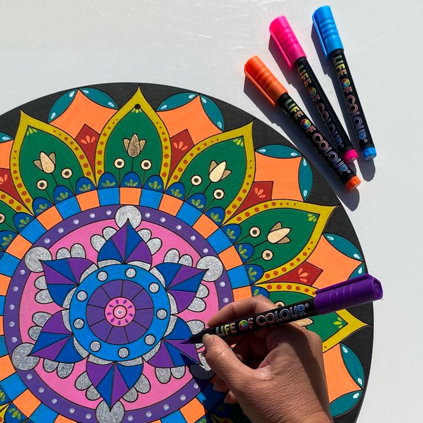 Life of Colour Mandala Painting Kit - Botanica (Vivid)