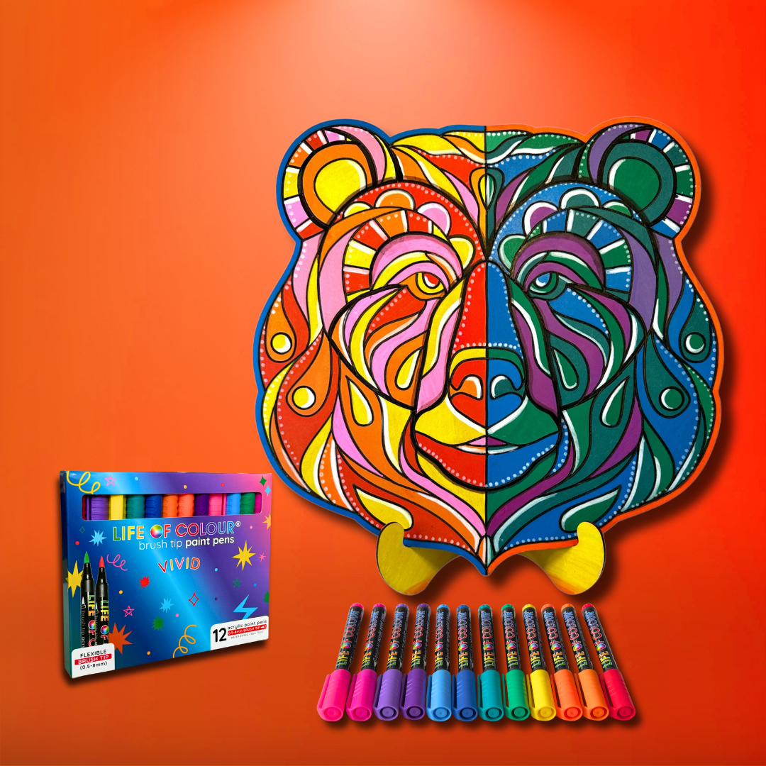 Life of Colour Bear Painting Kit
