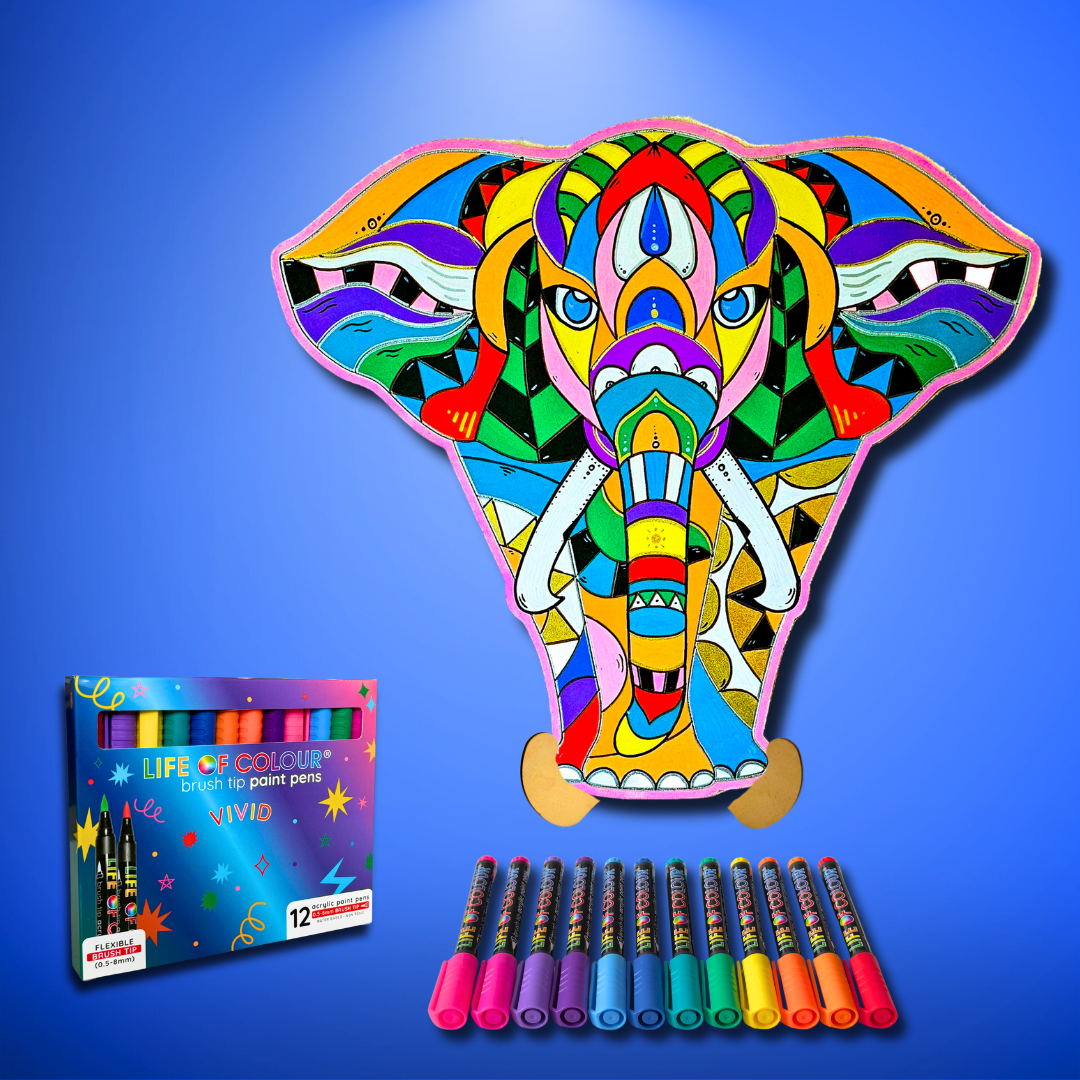 Life of Colour Elephant Painting Kit