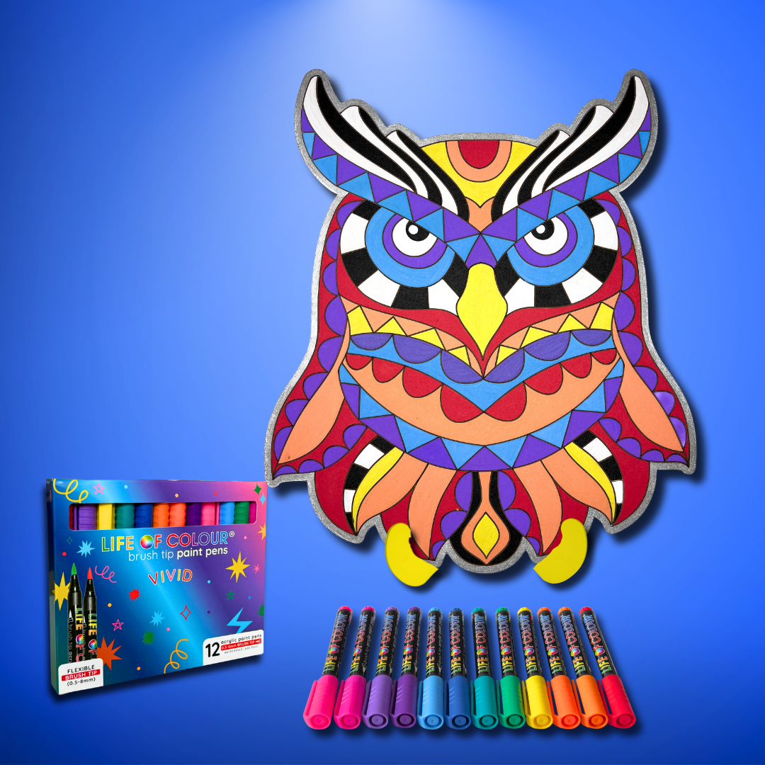 Life of Colour Owl Painting Kit