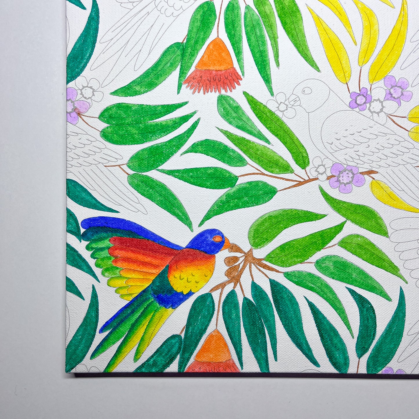 Canvas and Frame Painting Kit - Lorikeets