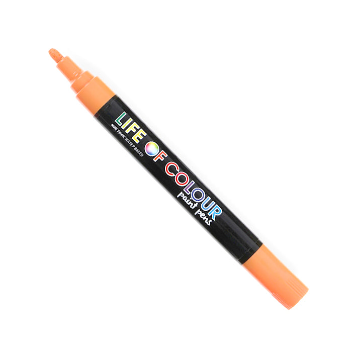 12 Colour Acrylic Paint Pens (Fine Tip) for rock painting, shoes, ceramic,  glass - Life of Colour